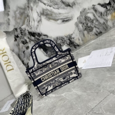 Dior Shopping Bags